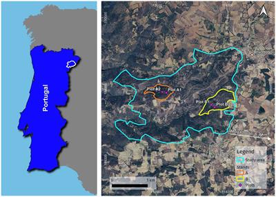 Natural regeneration of cork oak forests under climate change: a case study in Portugal